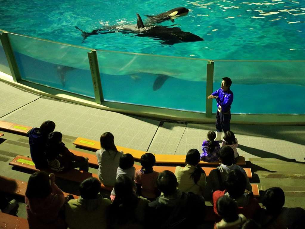 Kamogawa Sea World Hotel Einrichtungen foto