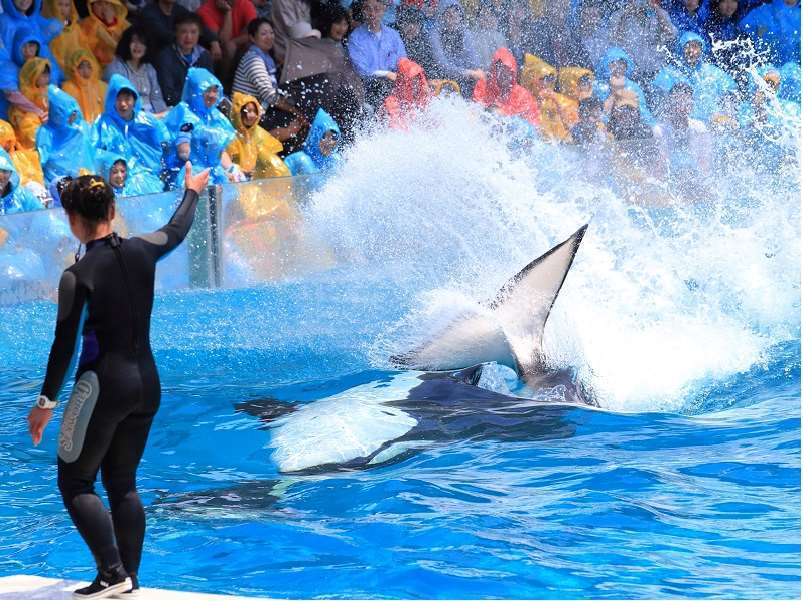 Kamogawa Sea World Hotel Einrichtungen foto